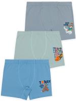 3506 Боксеры для мальчика многоцвет (BAYKAR)