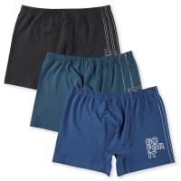 3966 Боксеры для мальчиков многоцвет (BAYKAR)