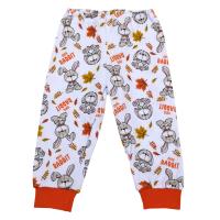 85/383 Брючки интерлок