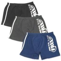 3970 Боксеры для мальчиков многоцвет (BAYKAR)