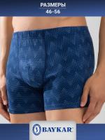 1227-04 Боксеры для мужчин (BAYKAR)