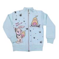 59339 Мастерка утепленная девочка