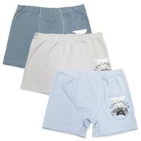 3664 Боксеры для мальчиков многоцвет (BAYKAR)