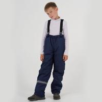 10219 Штаны на синтепоне