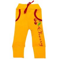 17482 Штаны (вишня)