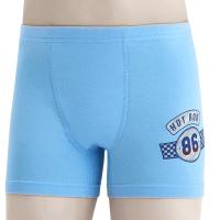 3644 Боксеры многоцвет (BAYKAR)