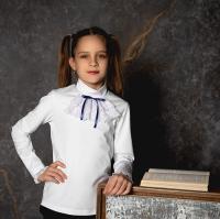 В-1703 Джемпер