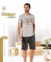 11483 мужской комплект/серый