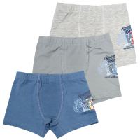 3348 Боксеры многоцвет (BAYKAR)-1