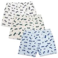 3586 Боксеры для мальчиков многоцвет (BAYKAR)