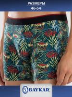 1414-382 Боксеры мужские (BAYKAR)
