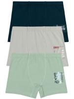 3556 Боксеры для мальчиков многоцвет (BAYKAR)