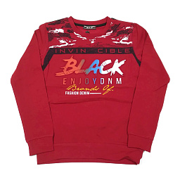 4139/2 Джемпер для мальчика