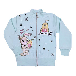 59339 Мастерка утепленная девочка