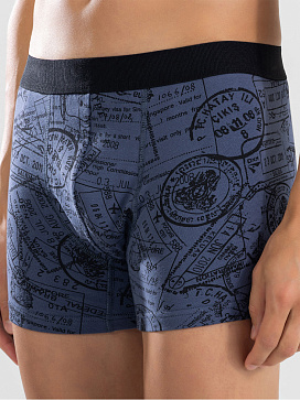 1412-184 Боксеры мужские (BAYKAR)