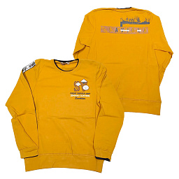 961 Джемпер для мальчика