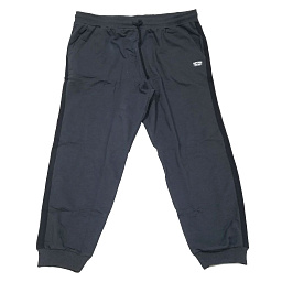 70048-12 Брюки мужские