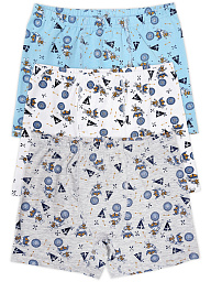 3652 Боксеры для мальчиков многоцвет (BAYKAR)