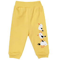 1345/6 Штанишки (птенчики)