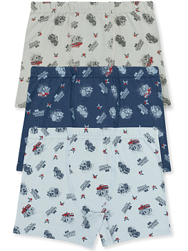 3574 Боксеры для мальчика многоцвет (BAYKAR)