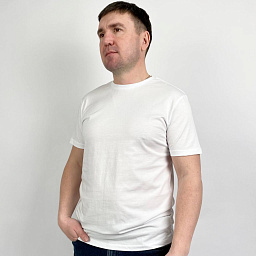 5003-22355 Футболка мужская