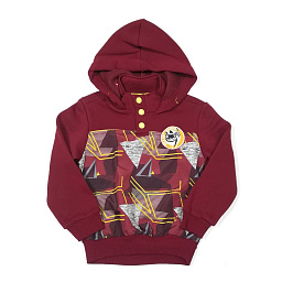 4001 Толстовка детская утепленная