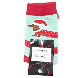 С1814 Носки женские