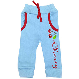 17482 Штаны (вишня)