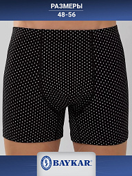 1154-02 Боксеры мужские (BAYKAR)