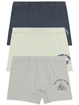 3548 Боксеры для мальчиков многоцвет (BAYKAR)