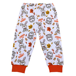 85/383 Брючки интерлок