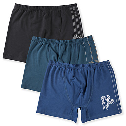 3966 Боксеры для мальчиков многоцвет (BAYKAR)